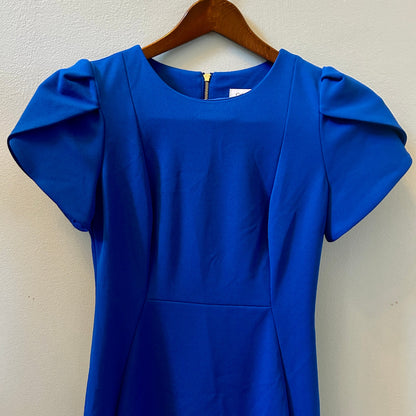 Calvin Klein Royal Blue Sheath Dress Size 4 Tulip Cap Sleeve
