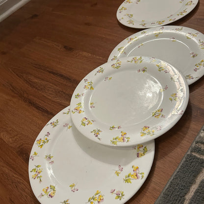 Set of 8 Martha Stewart Pansy Dinner Plate Set