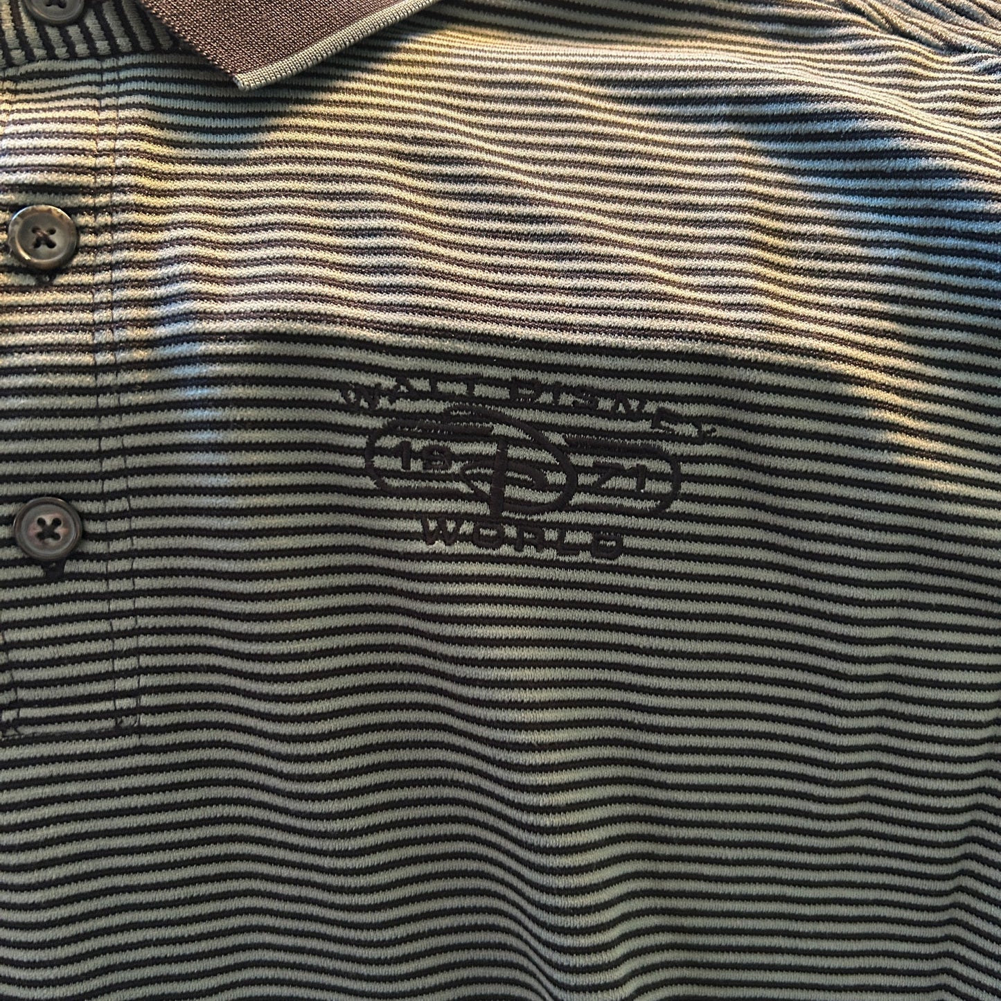 Disney Parks Men’s Walt Disney World 1971 Embroidered Striped Polo Shirt, Size Large