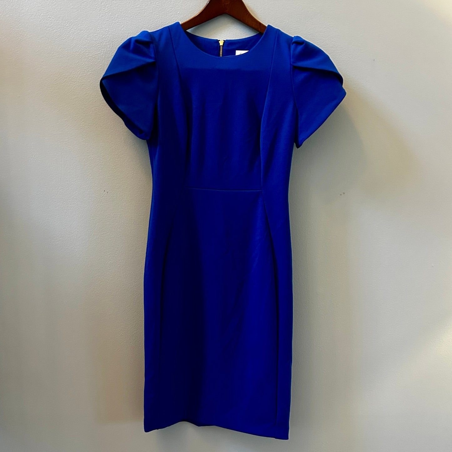 Calvin Klein Royal Blue Sheath Dress Size 4 Tulip Cap Sleeve
