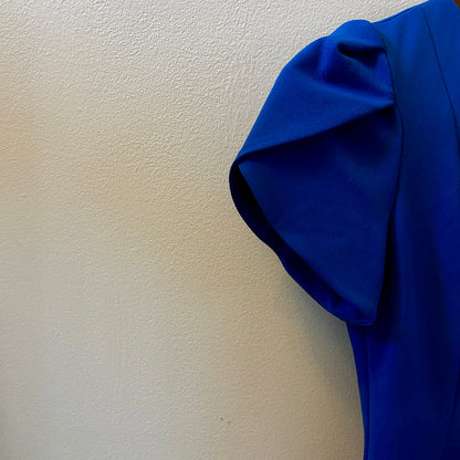 Calvin Klein Royal Blue Sheath Dress Size 4 Tulip Cap Sleeve