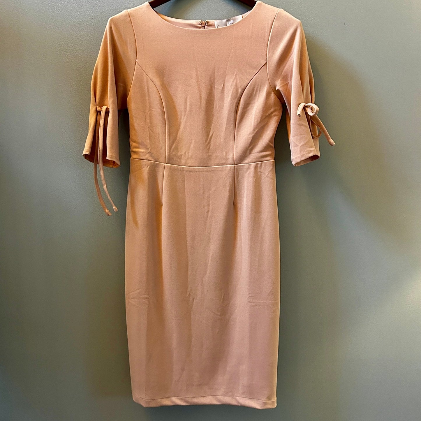 Charles Henry NWT Blush Pink Sheath Dress Size 4 Tie Sleeve