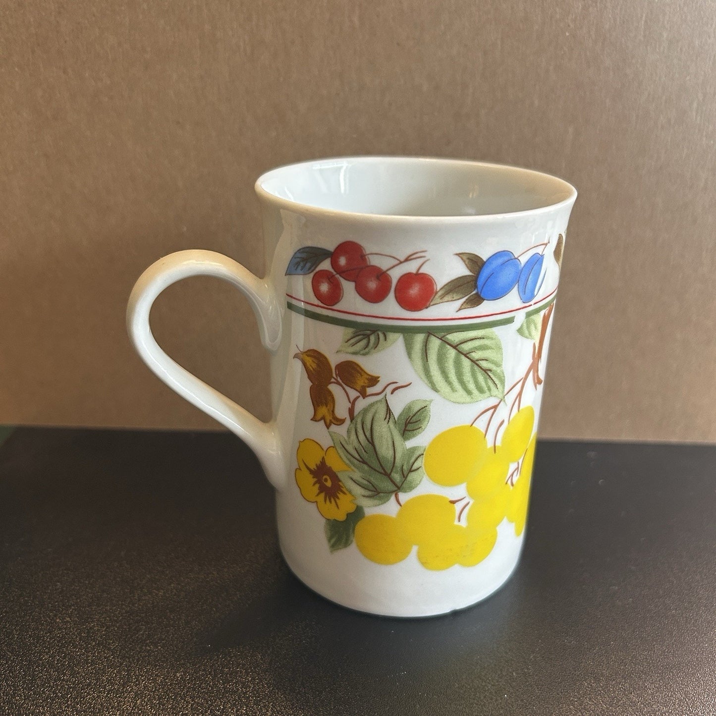 Multicolor Fruit Pattern Ceramic Coffee Mug Microwave Safe Dishwasher Safe