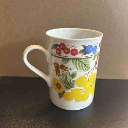 Multicolor Fruit Pattern Ceramic Coffee Mug Microwave Safe Dishwasher Safe